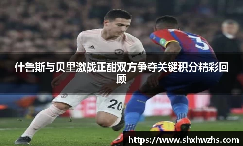 什鲁斯与贝里激战正酣双方争夺关键积分精彩回顾